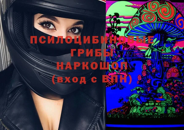 Альфа ПВП Баксан