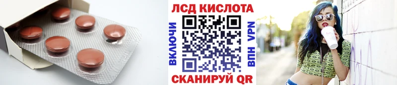 где найти   Лесной  ЛСД экстази ecstasy 