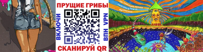 продажа наркотиков  Лесной  Псилоцибиновые грибы мицелий 